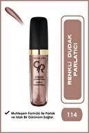 Golden Rose Color Sensation Lipgloss Perfect Shine 114